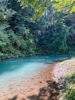 image1.jpeg