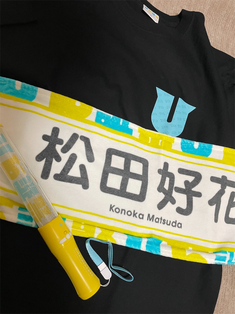 f:id:gkfmzaka:20210327005728j:image