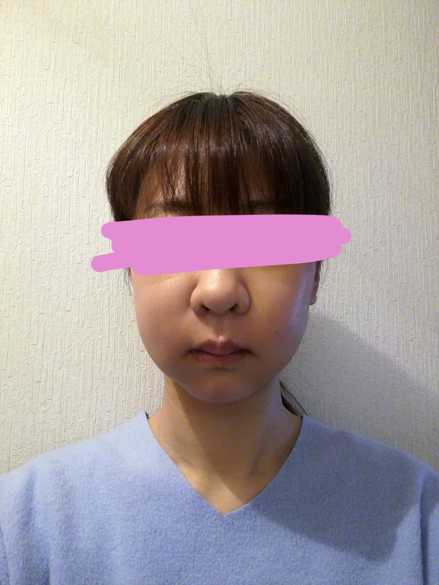 f:id:gkhki:20190407224638j:plain f:id:gkhki:20190407224638j:plain
