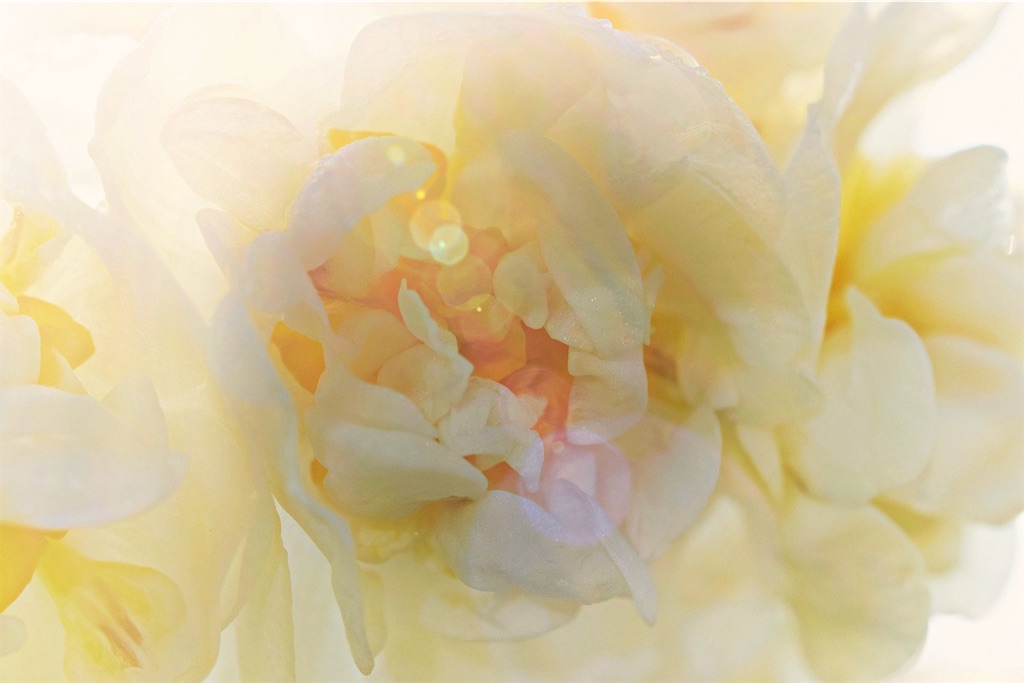 f:id:gkinui:20200414182506j:image
