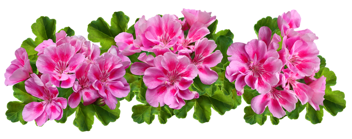f:id:gkinui:20211011182709p:plain