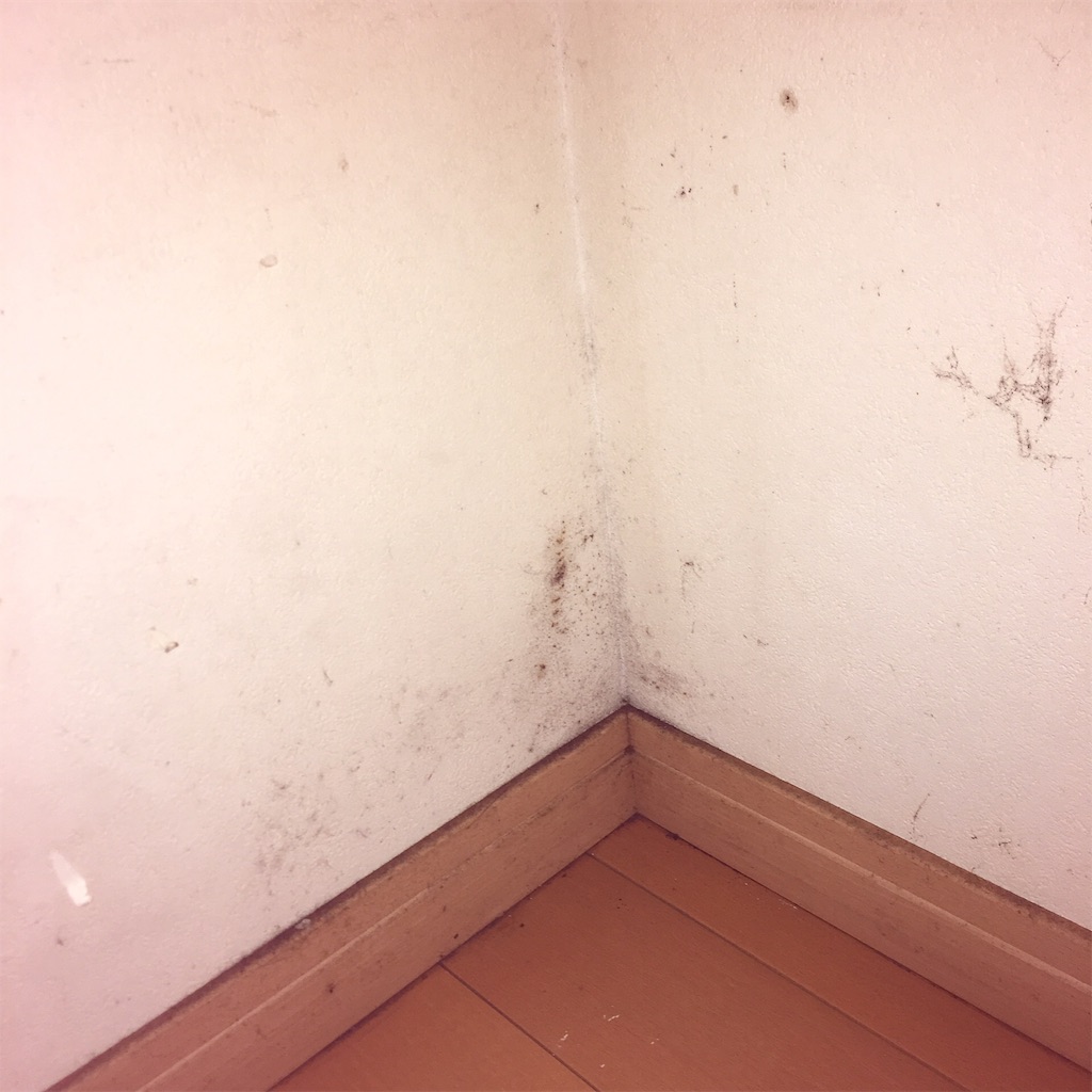 クローゼットのカビよさらば 片付け下手の断捨離にっき