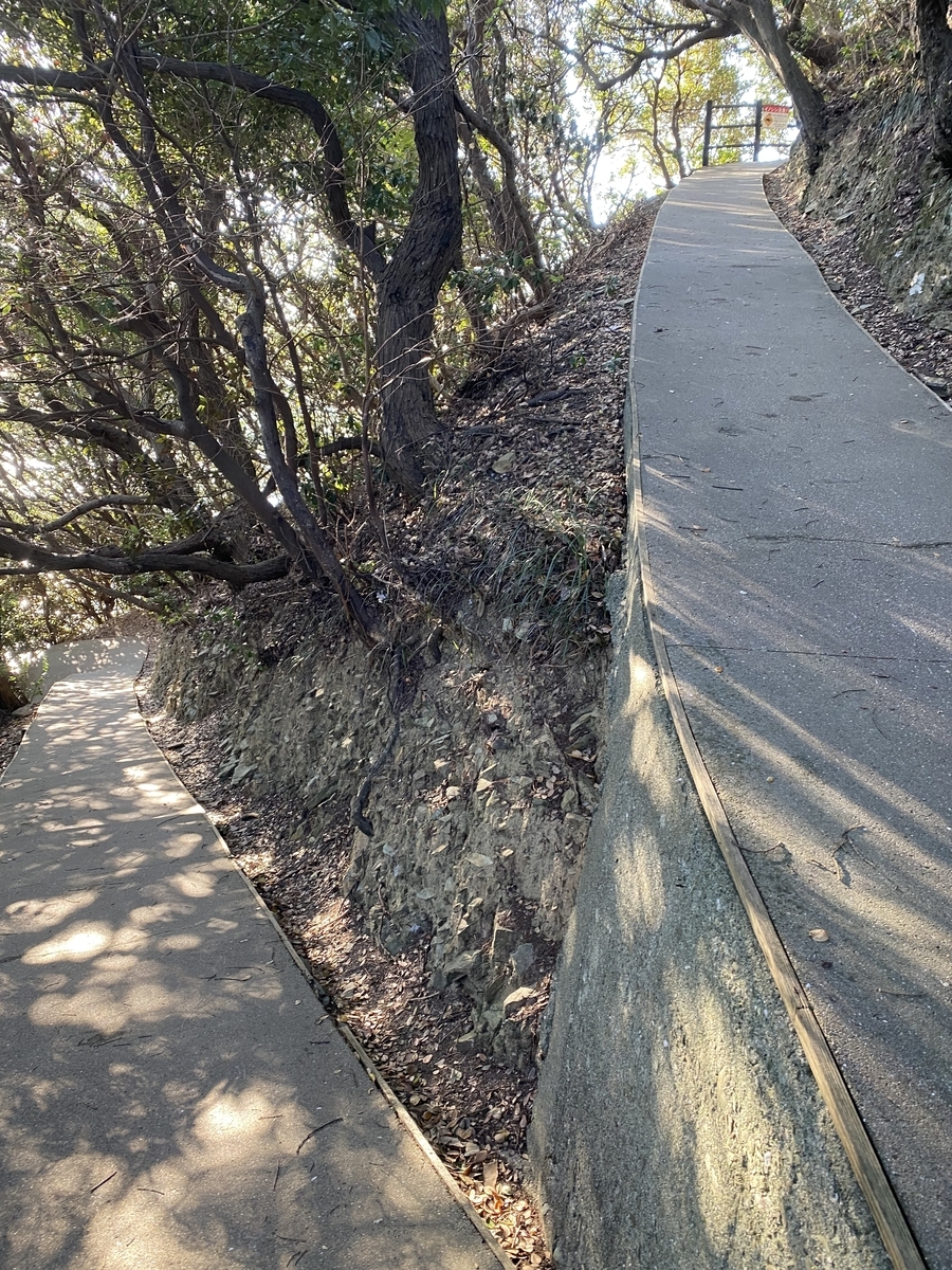 佐田岬灯台までの道