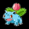 フシギソウ
