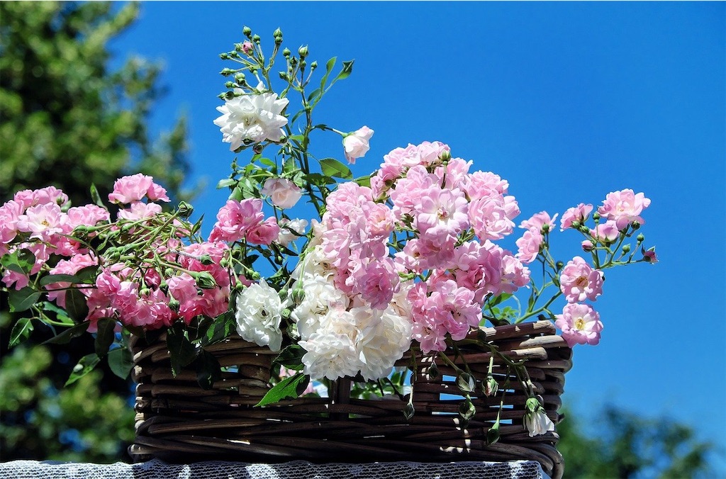 f:id:gladfeeling:20200929211707j:image
