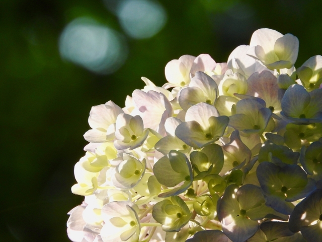 f:id:glasstic-blue:20170610163925j:image