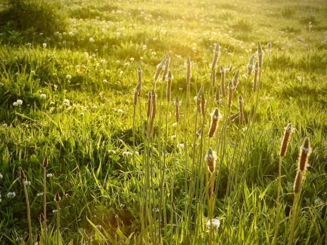 f:id:glasstic-blue:20180419175608j:image