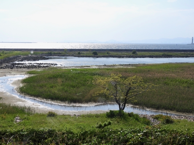 f:id:glasstic-blue:20180504154114j:image