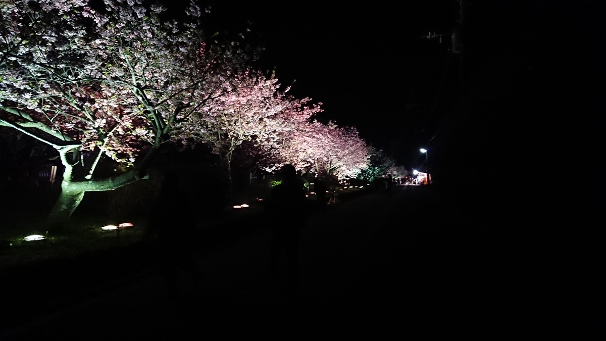 f:id:glay222:20200215195411j:plain f:id:glay222:20200215195411j:plain