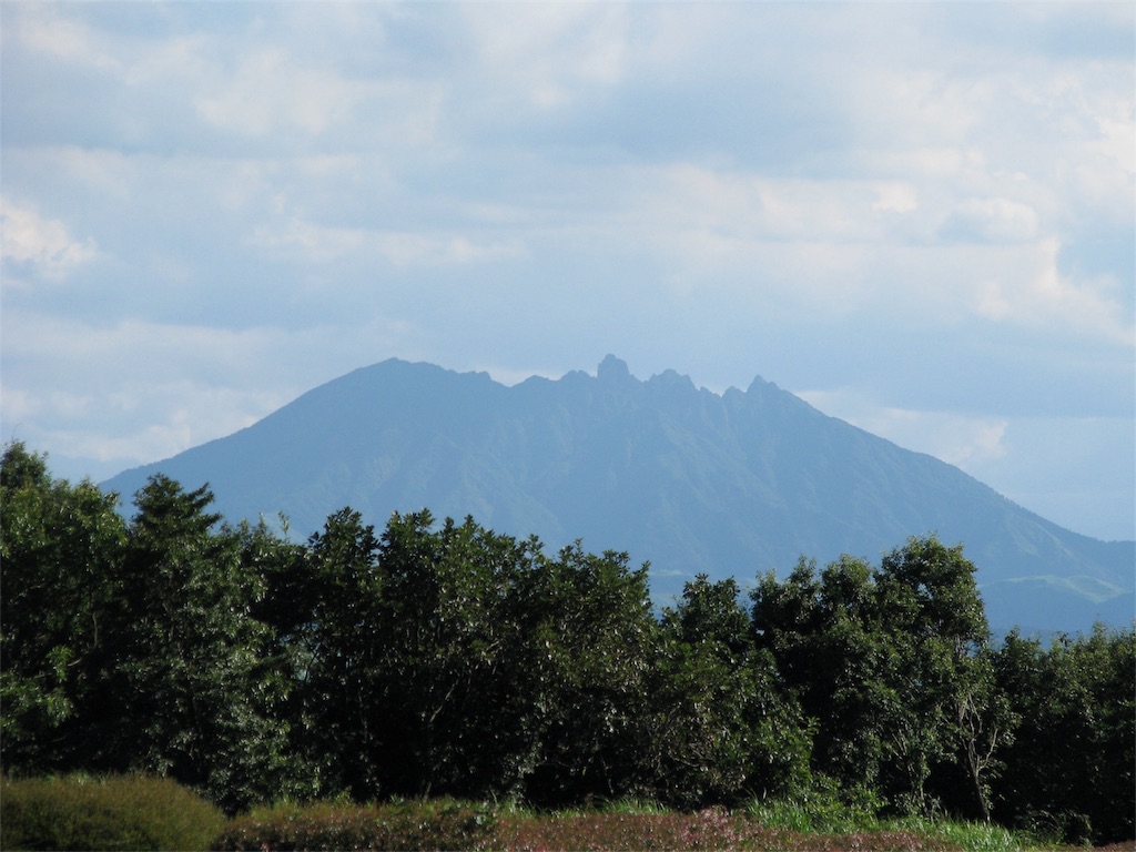 f:id:glenfiddddich:20180609131522j:image