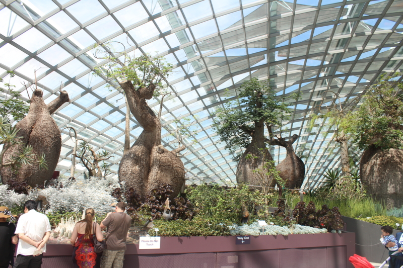 f:id:glidert:20130508233516j:image f:id:glidert:20130508233516j:image