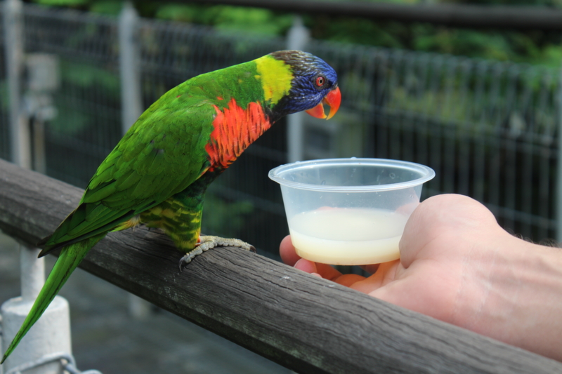 f:id:glidert:20130509034031j:image f:id:glidert:20130509034031j:image