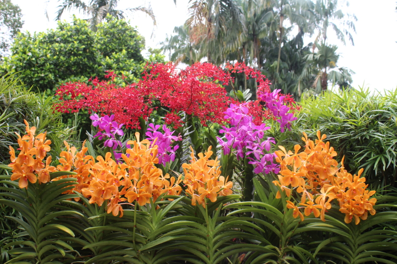 f:id:glidert:20130509233430j:image f:id:glidert:20130509233430j:image