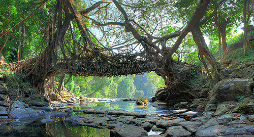 West Khasi Hills districtの画像