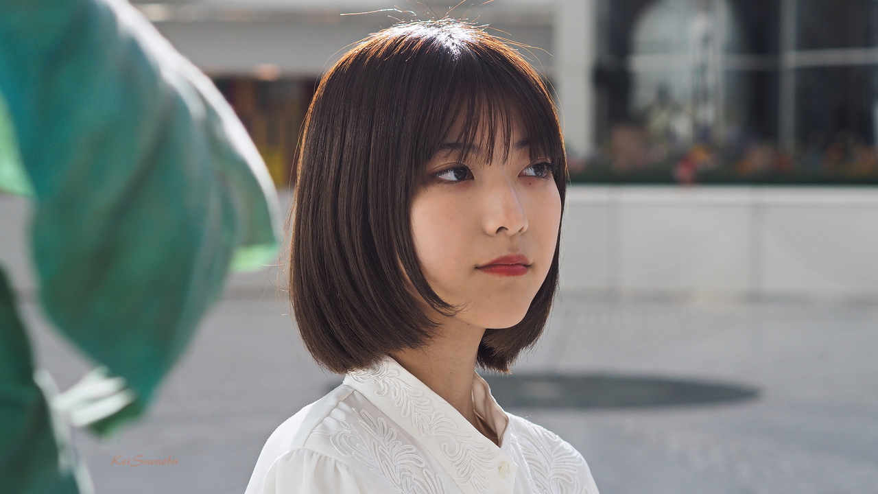 f:id:glitteringrivergreen:20191107112111j:plain