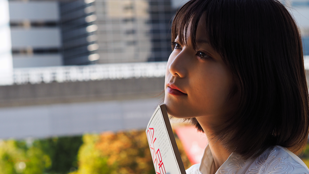 f:id:glitteringrivergreen:20191107112201j:plain