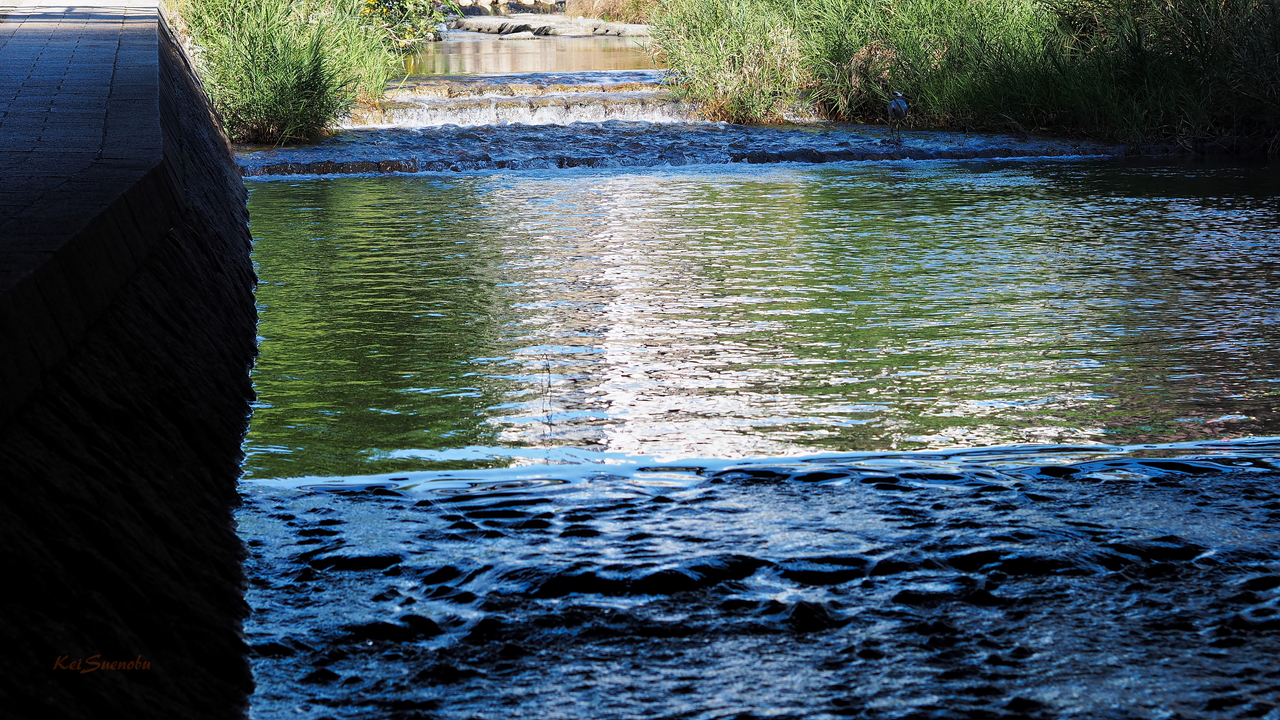 f:id:glitteringrivergreen:20191114112027j:plain