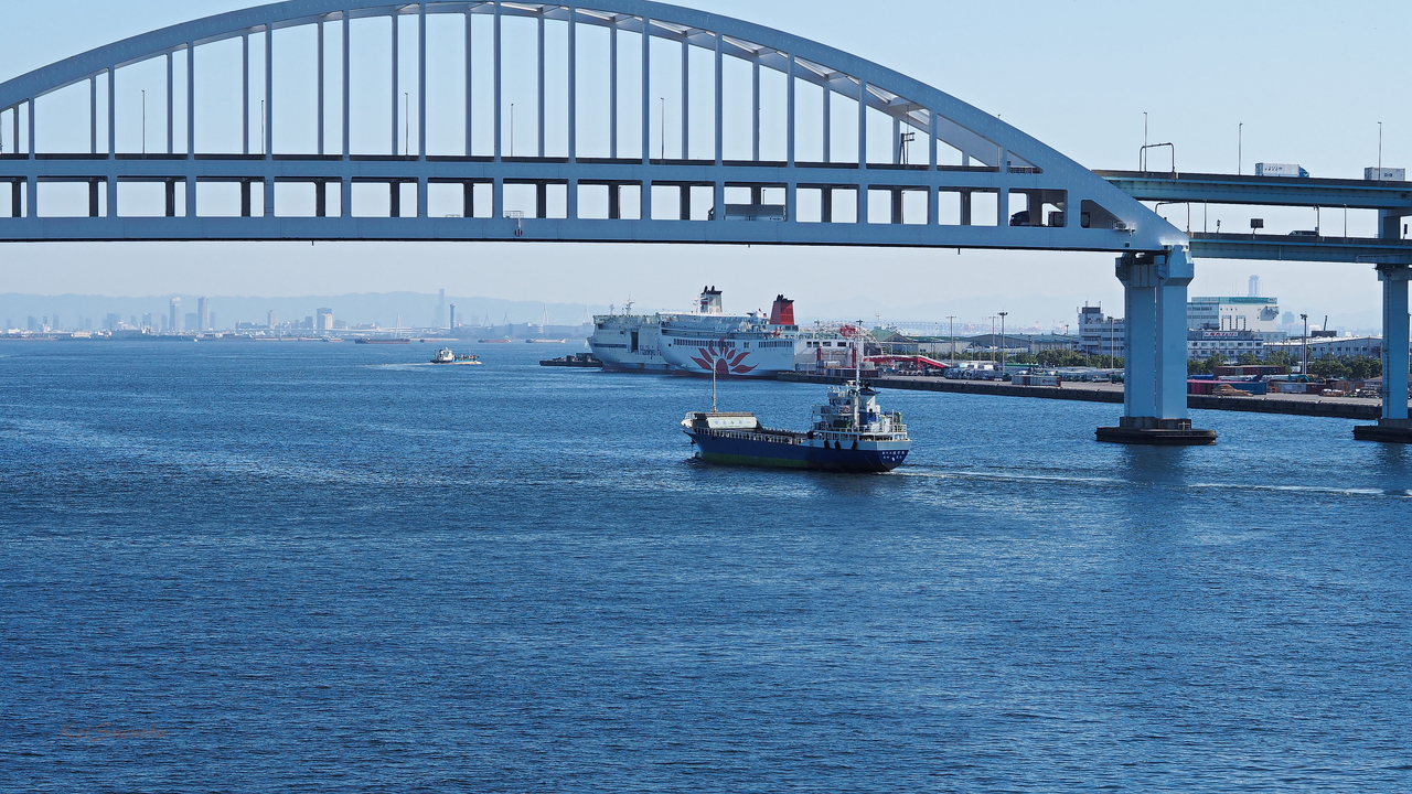 f:id:glitteringrivergreen:20191114112038j:plain