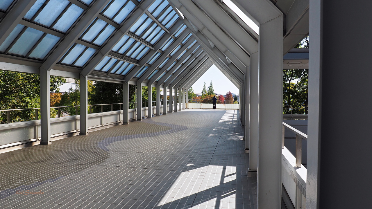 f:id:glitteringrivergreen:20191114112110j:plain