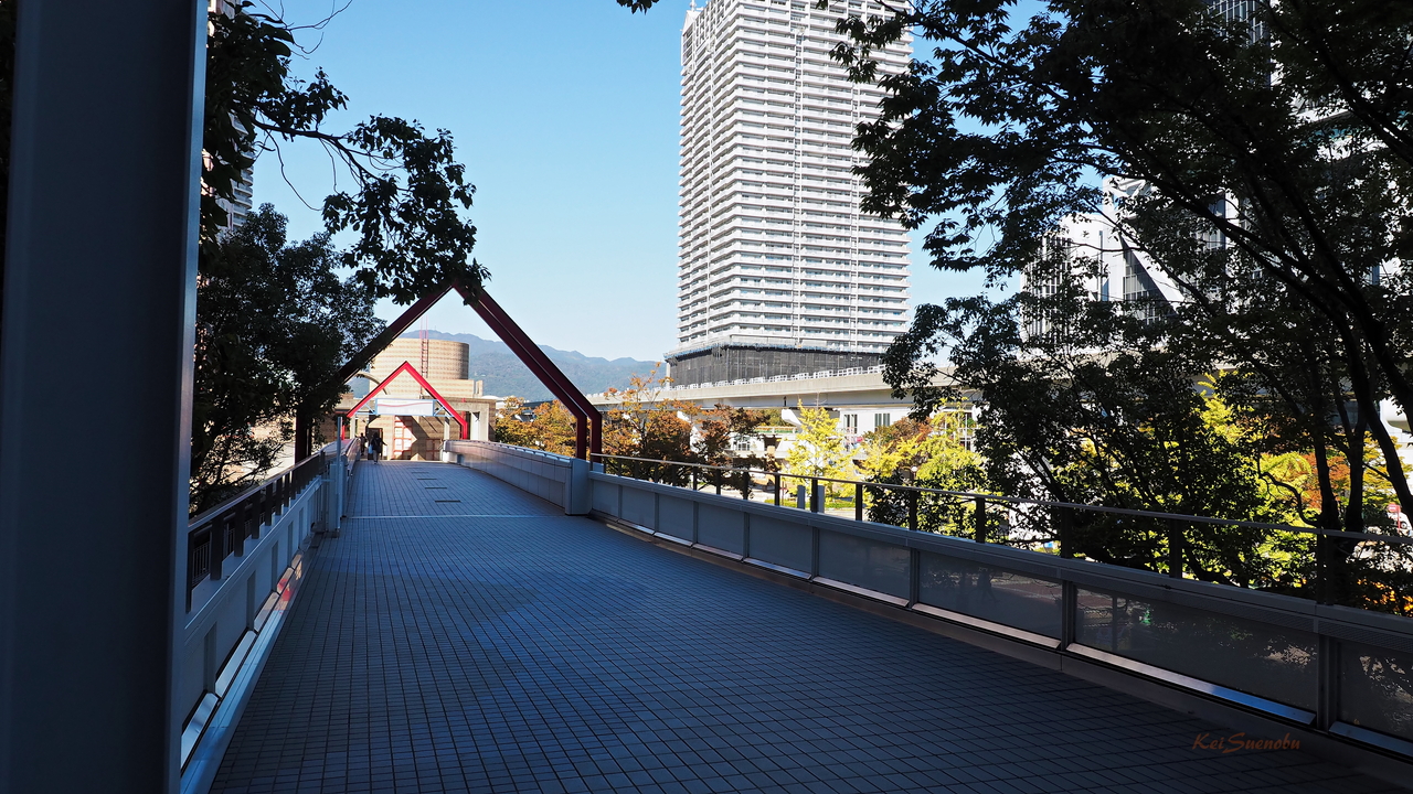 f:id:glitteringrivergreen:20191114112115j:plain