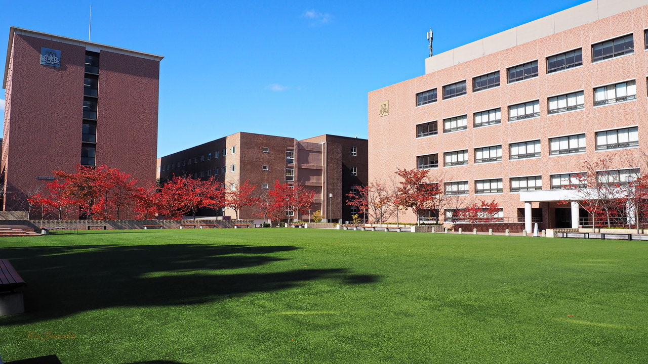 f:id:glitteringrivergreen:20191116124031j:plain