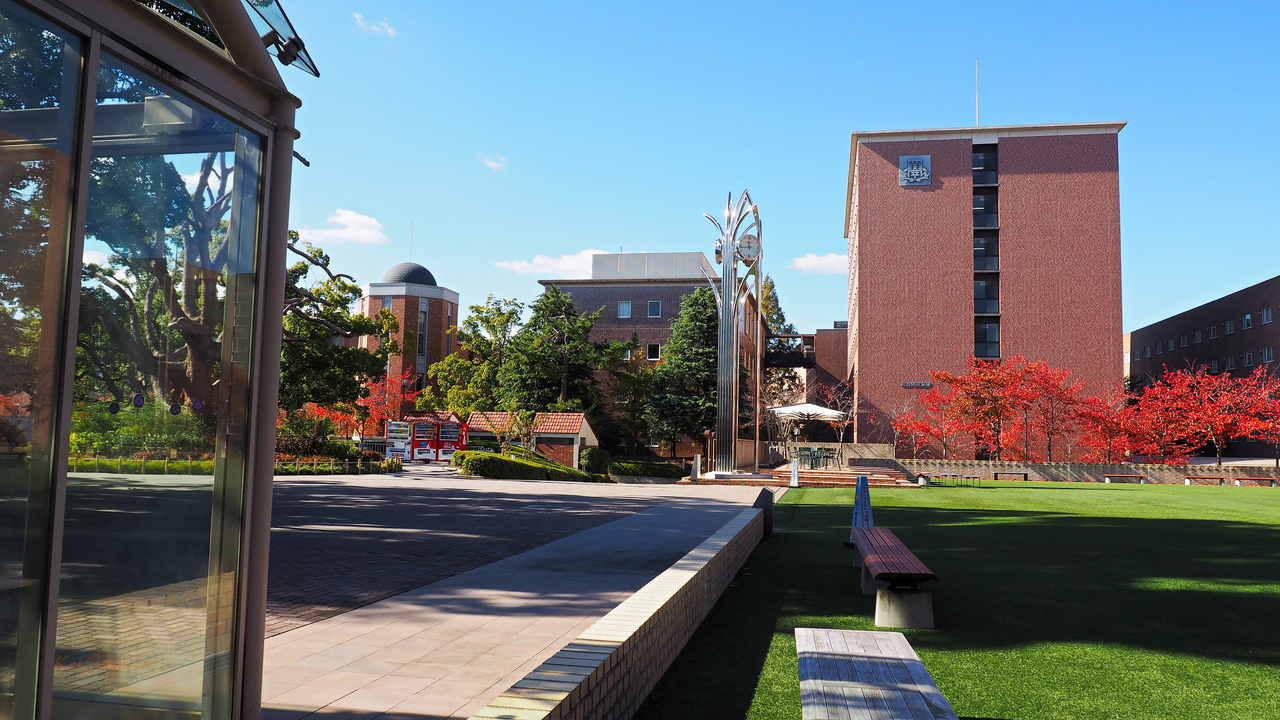 f:id:glitteringrivergreen:20191116124037j:plain