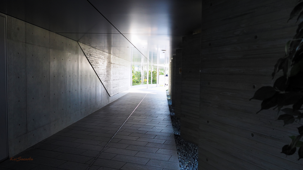 f:id:glitteringrivergreen:20191116124051j:plain