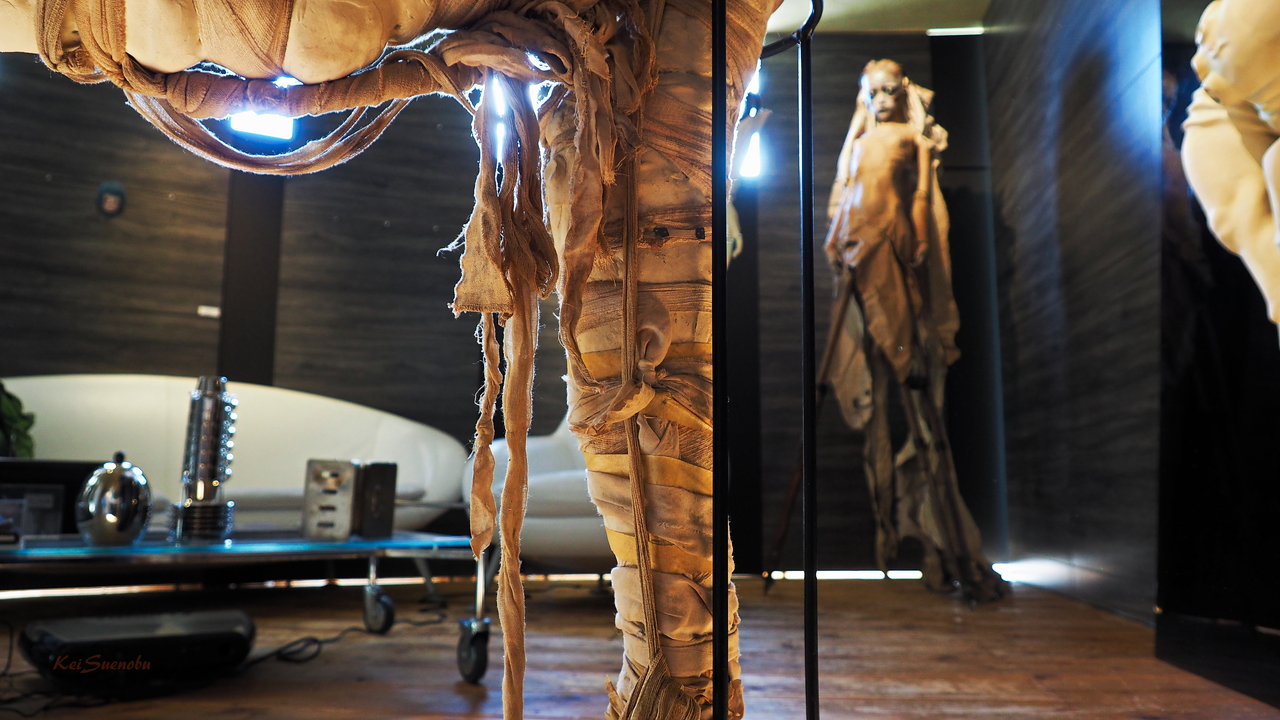 f:id:glitteringrivergreen:20191201091125j:plain