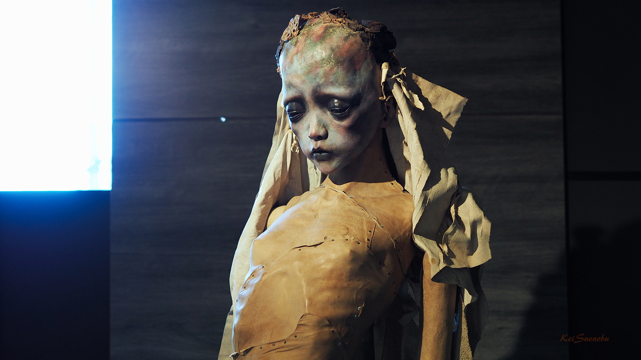 f:id:glitteringrivergreen:20191201091227j:plain