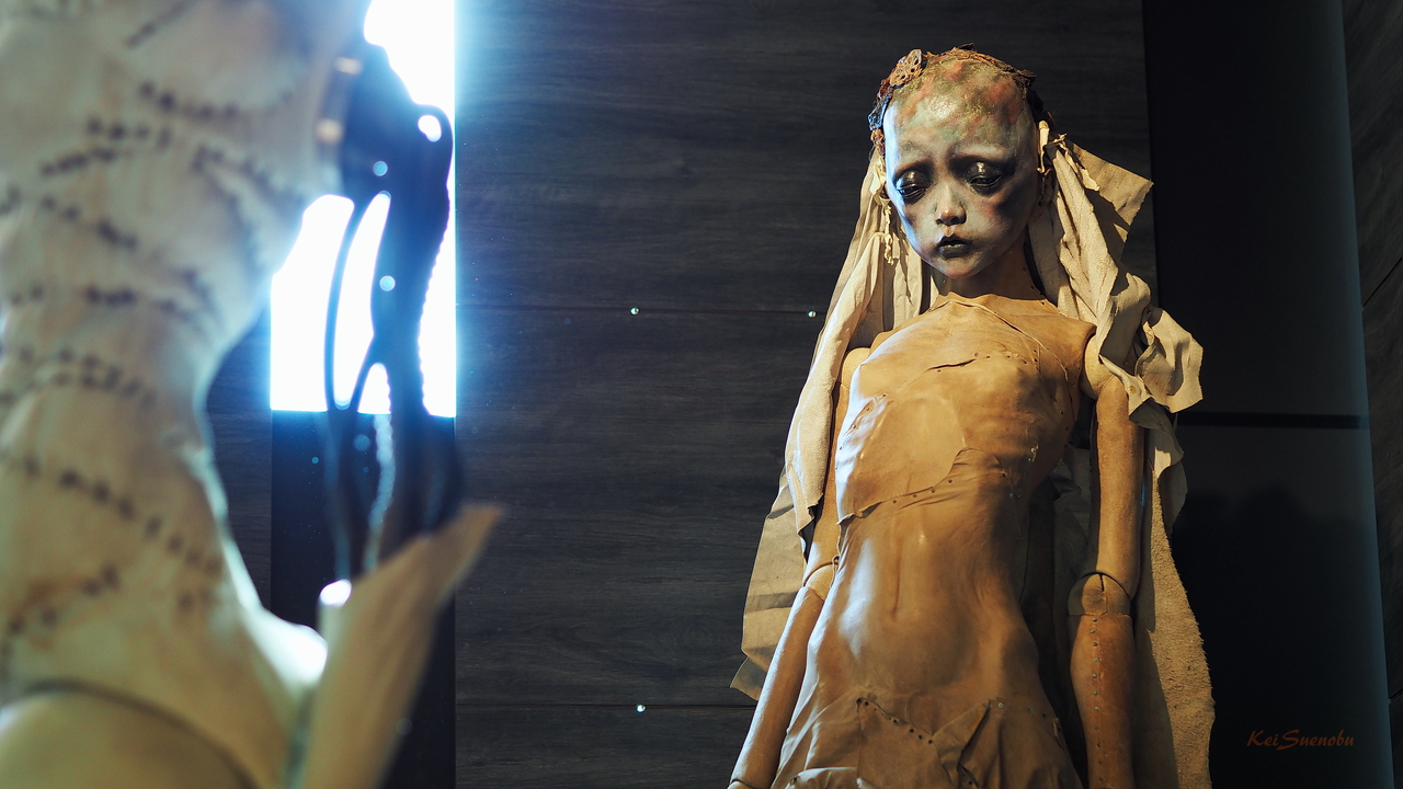 f:id:glitteringrivergreen:20191201091237j:plain