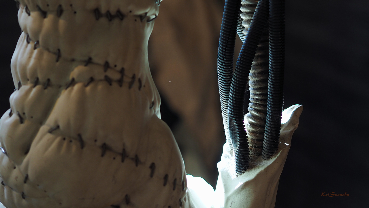 f:id:glitteringrivergreen:20191201091252j:plain