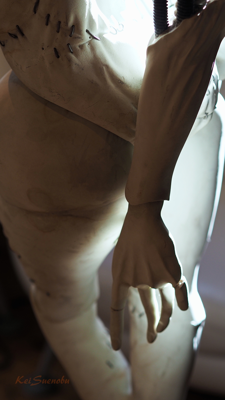 f:id:glitteringrivergreen:20191201091257j:plain