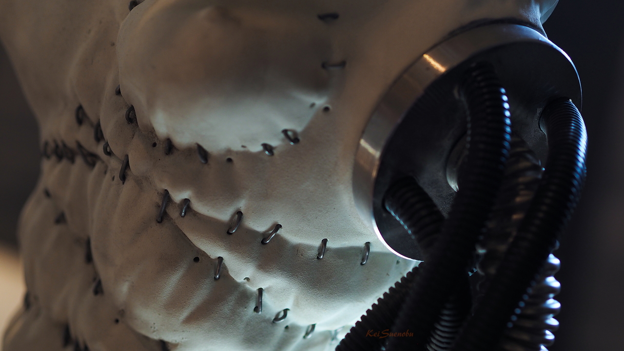 f:id:glitteringrivergreen:20191201091306j:plain