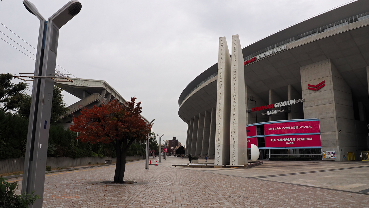 f:id:glitteringrivergreen:20191202170621j:plain