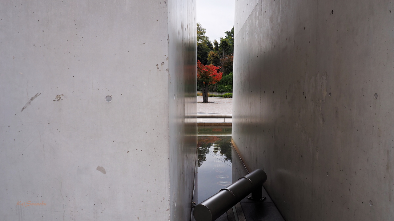 f:id:glitteringrivergreen:20191202170630j:plain