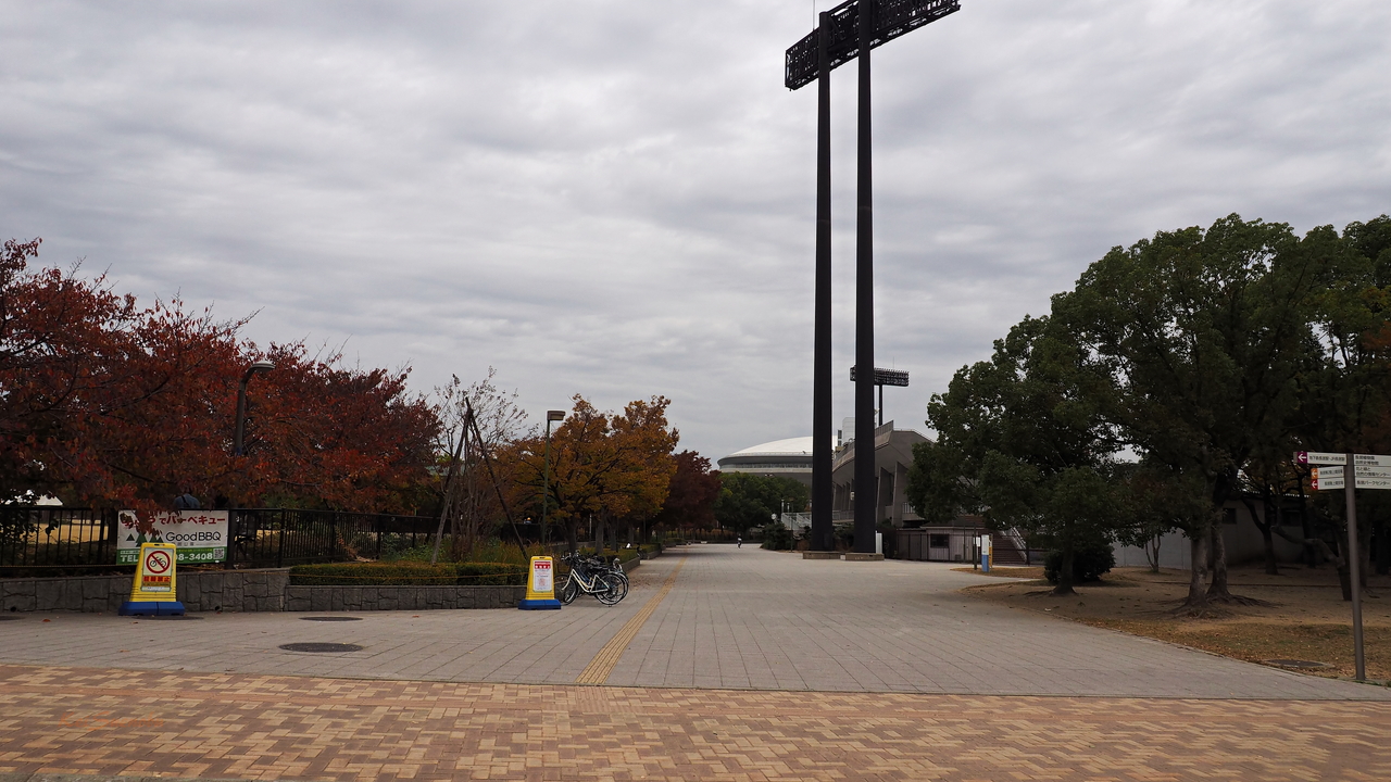 f:id:glitteringrivergreen:20191202170714j:plain