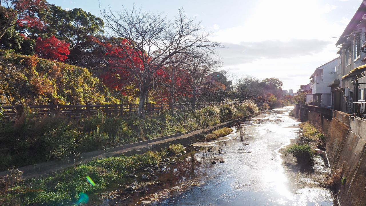 f:id:glitteringrivergreen:20191203094901j:plain