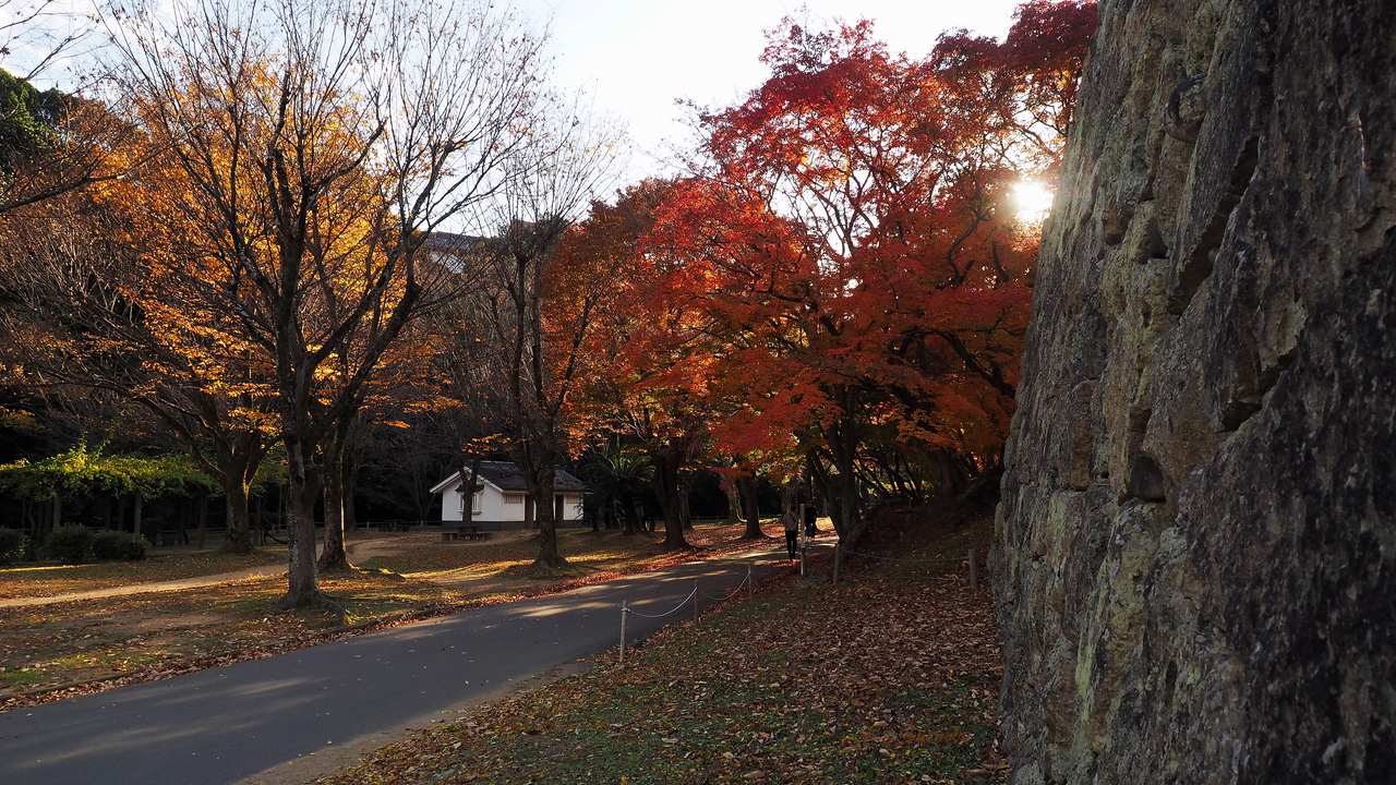 f:id:glitteringrivergreen:20191203094914j:plain