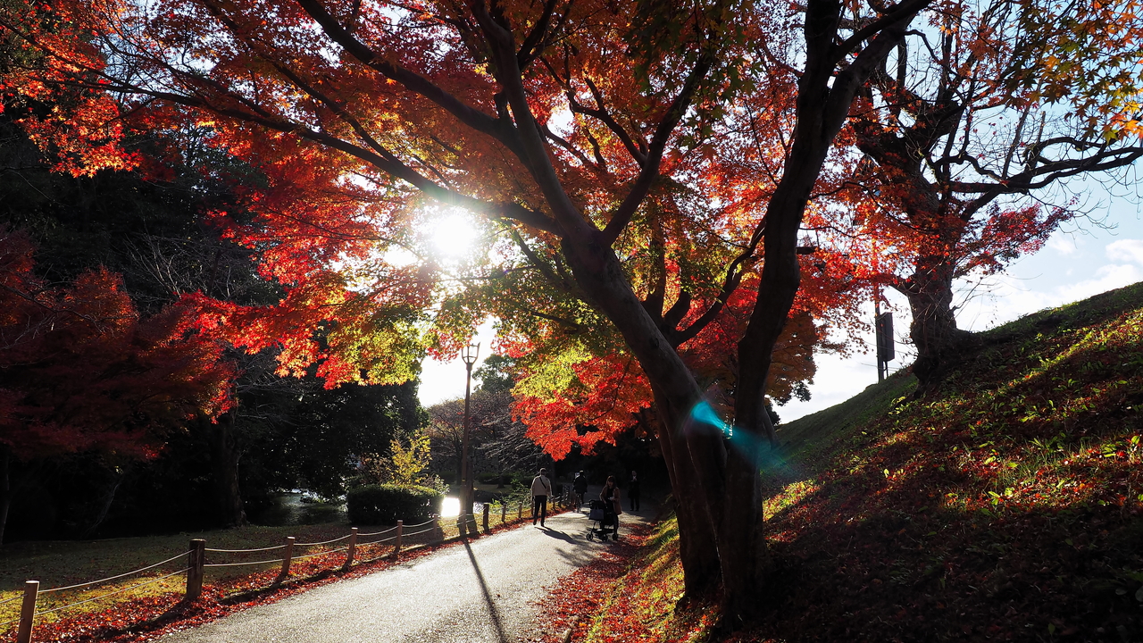 f:id:glitteringrivergreen:20191203094941j:plain