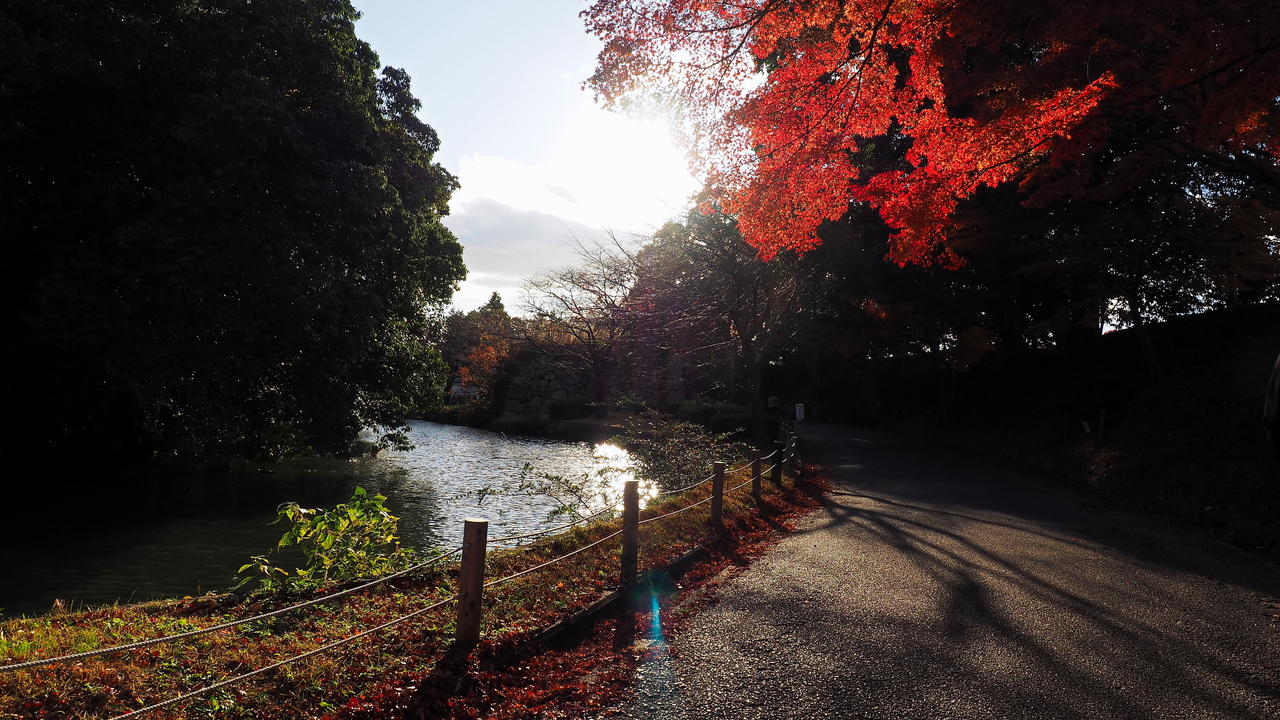 f:id:glitteringrivergreen:20191203094946j:plain