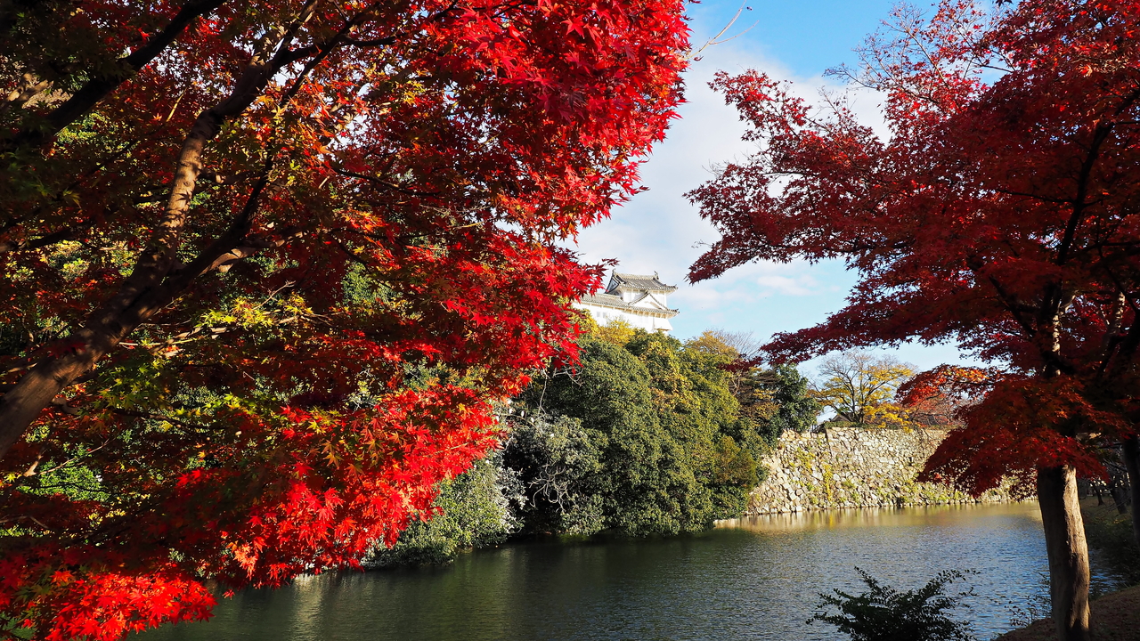 f:id:glitteringrivergreen:20191203095002j:plain