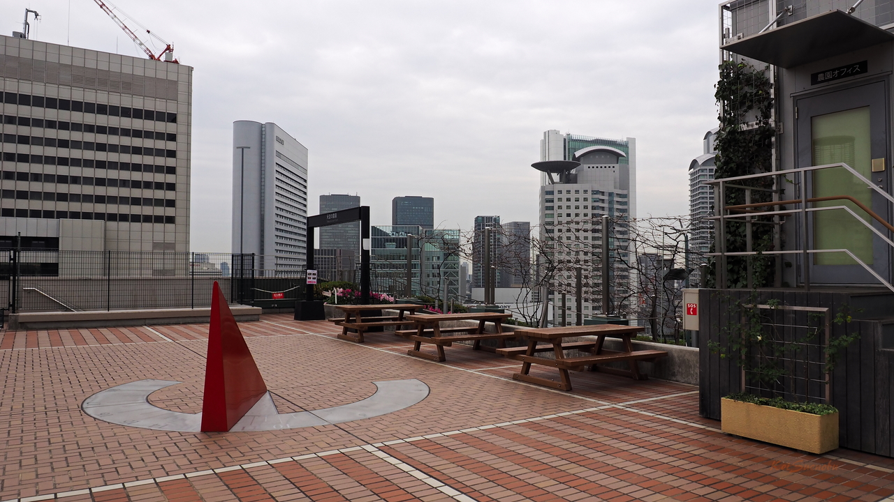 f:id:glitteringrivergreen:20191220180837j:plain