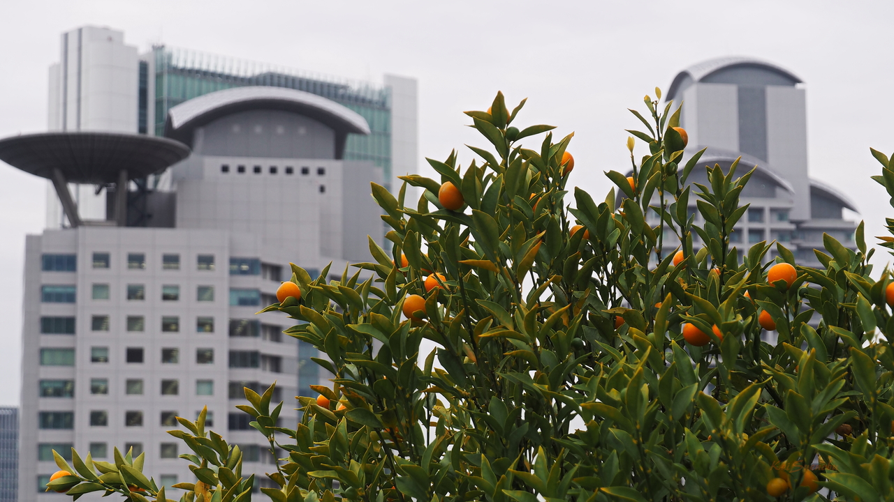 f:id:glitteringrivergreen:20191220180853j:plain