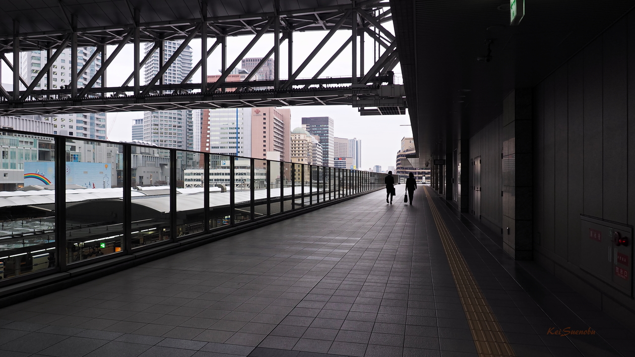 f:id:glitteringrivergreen:20191220180914j:plain