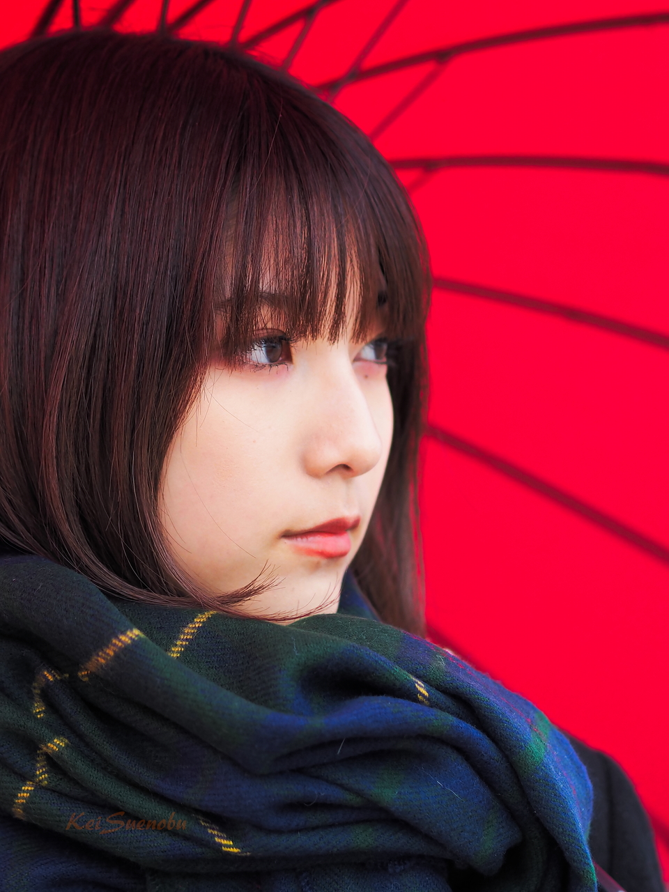 f:id:glitteringrivergreen:20191224123108j:plain