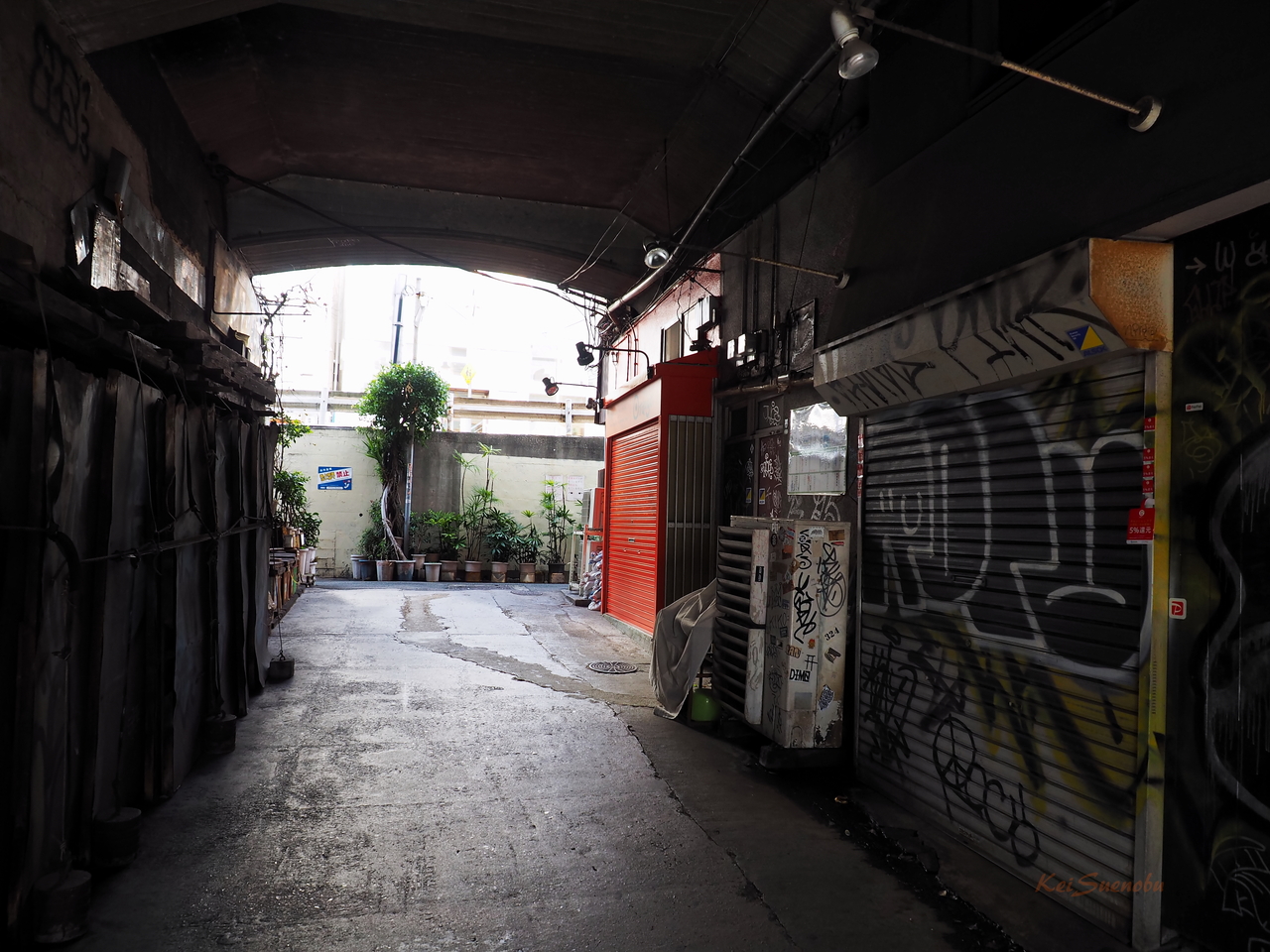 f:id:glitteringrivergreen:20200131220031j:plain