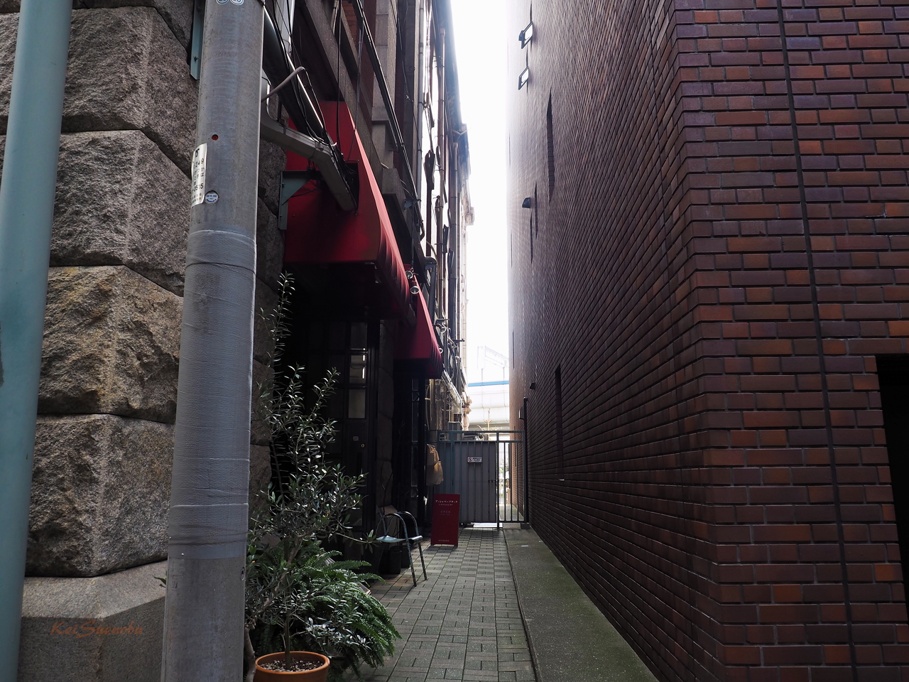 f:id:glitteringrivergreen:20200131220402j:plain