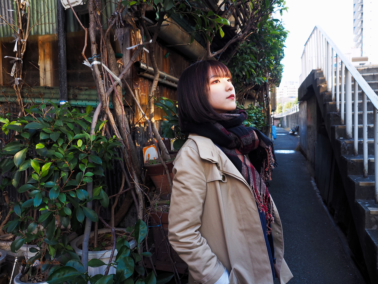 f:id:glitteringrivergreen:20200203123223j:plain