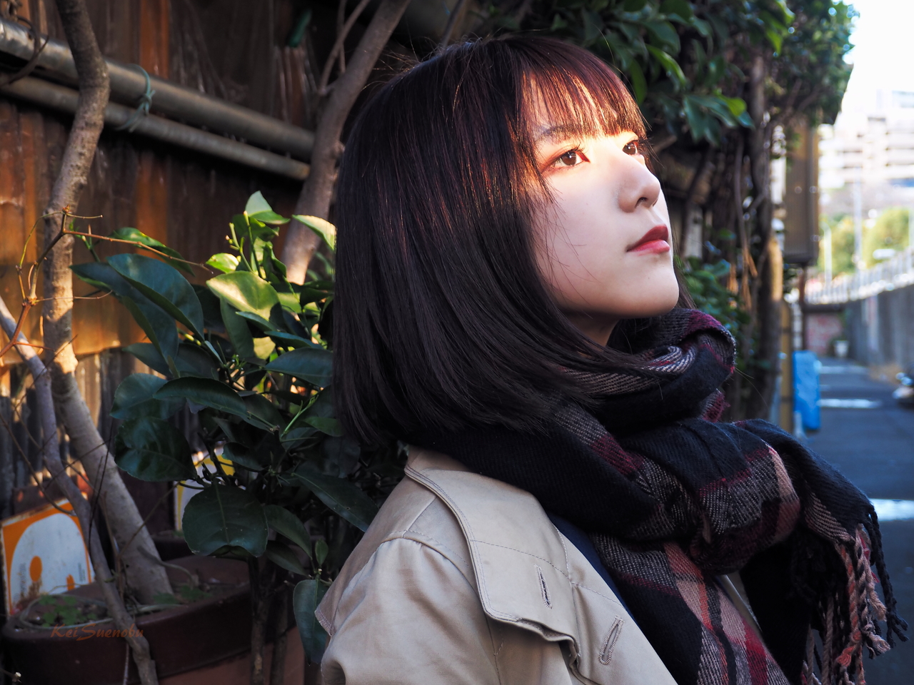 f:id:glitteringrivergreen:20200203123230j:plain