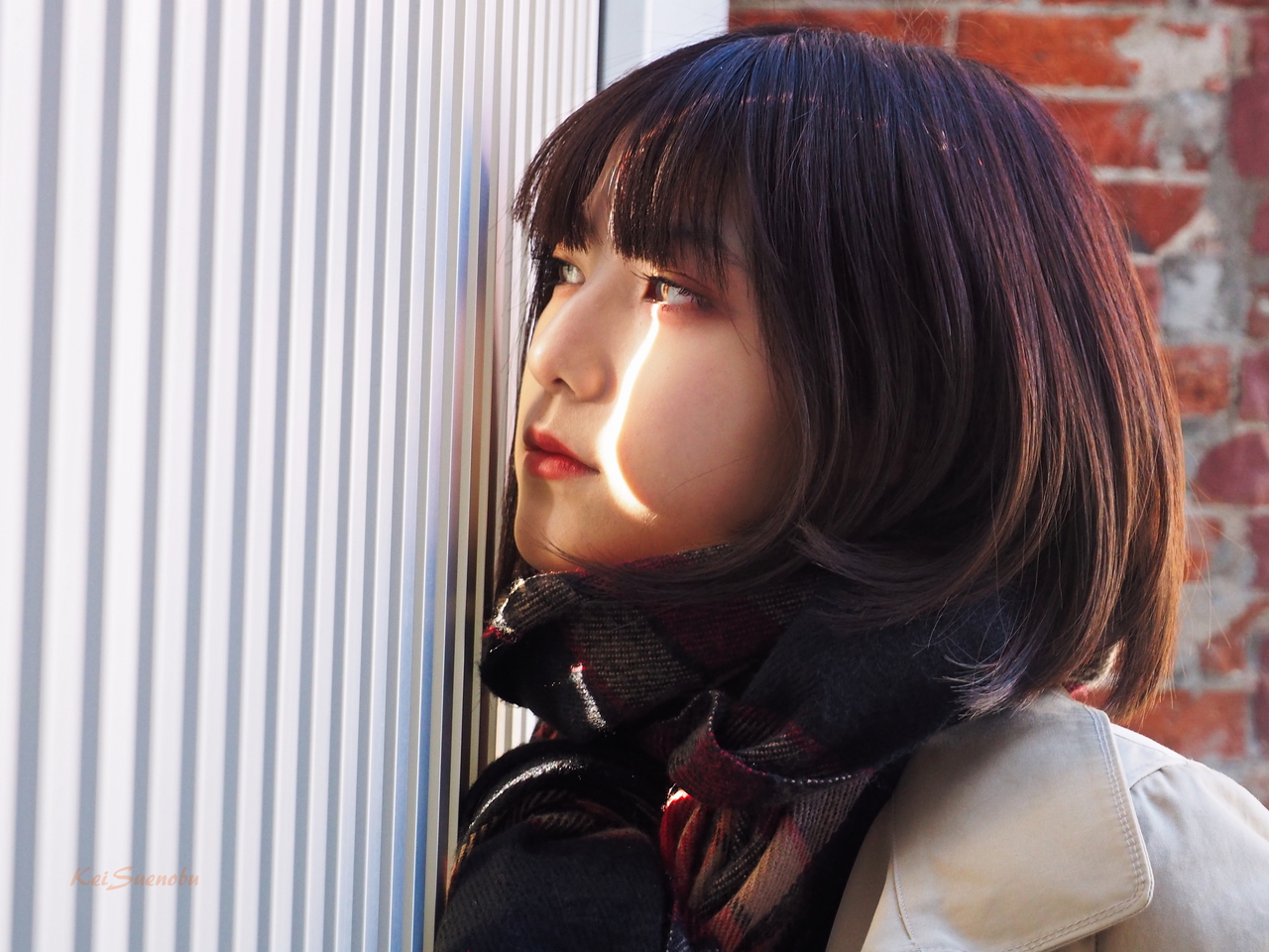 f:id:glitteringrivergreen:20200203191929j:plain